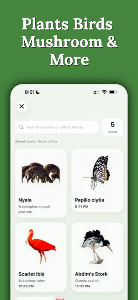 iNature species library grid — plants, birds, mushrooms and more